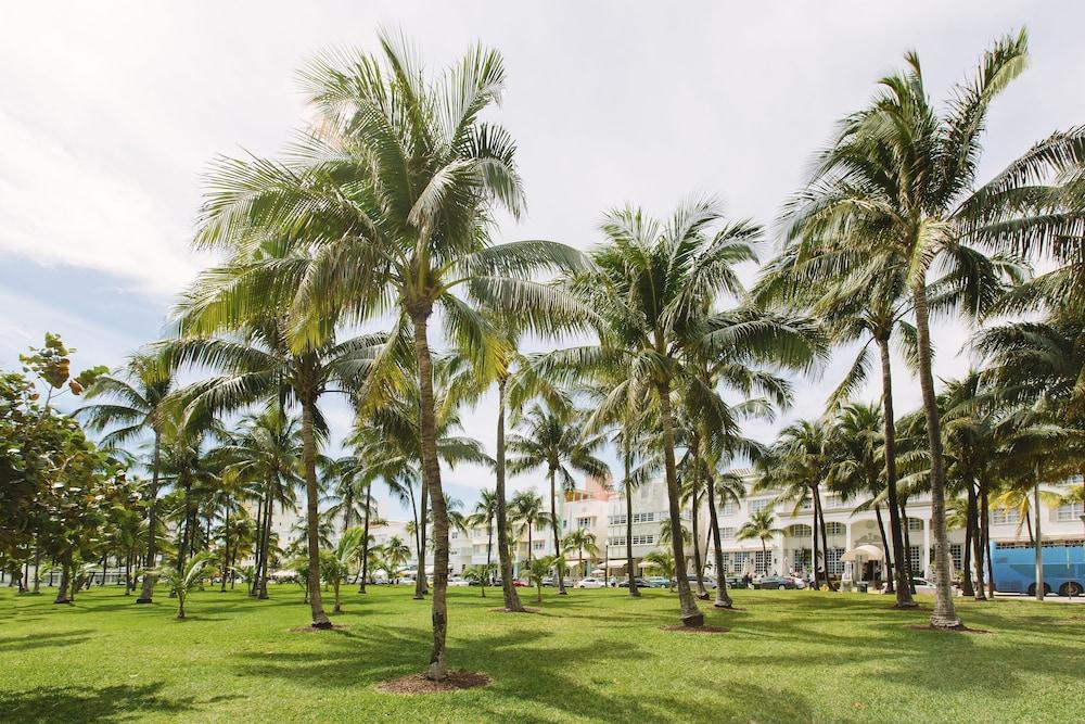 Cardozo Hotel Miami Beach Luaran gambar